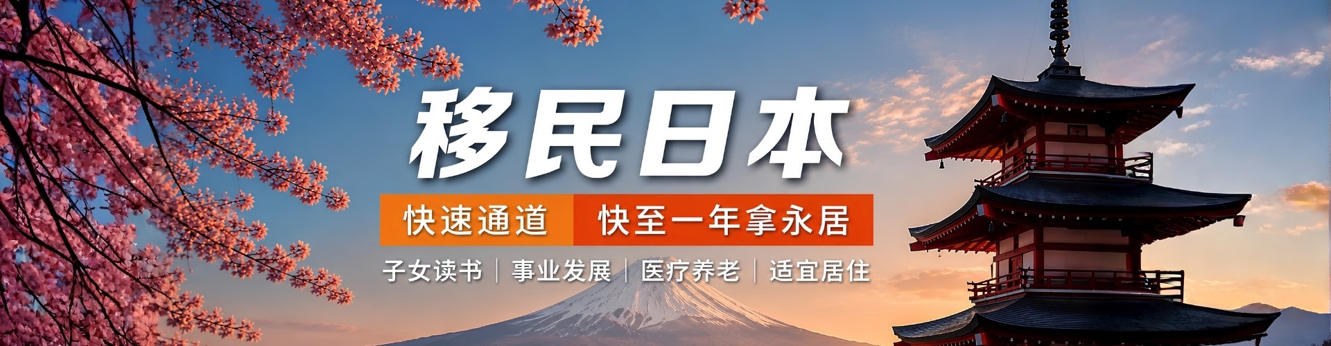 如何办理日本经营者签证移民海报图