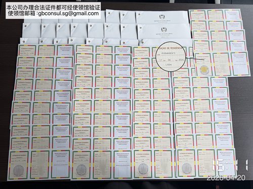 几内亚比绍永居🇬 (1)