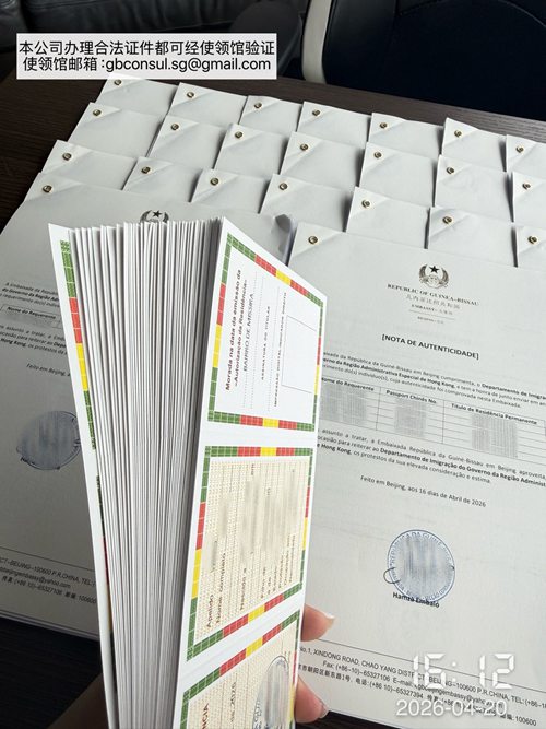 几内亚比绍永居🇬 (3)