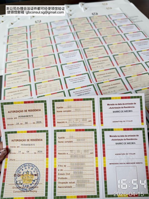 几内亚比绍绿卡永居卡案例 (3) 几内亚比绍绿卡永居卡案例 (3)