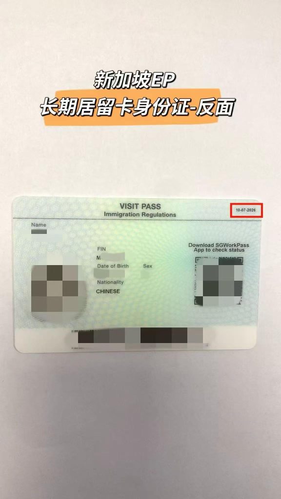 新加坡自雇EP就业准证及家属DP准证 (3) 新加坡自雇EP就业准证及家属DP准证 (3)