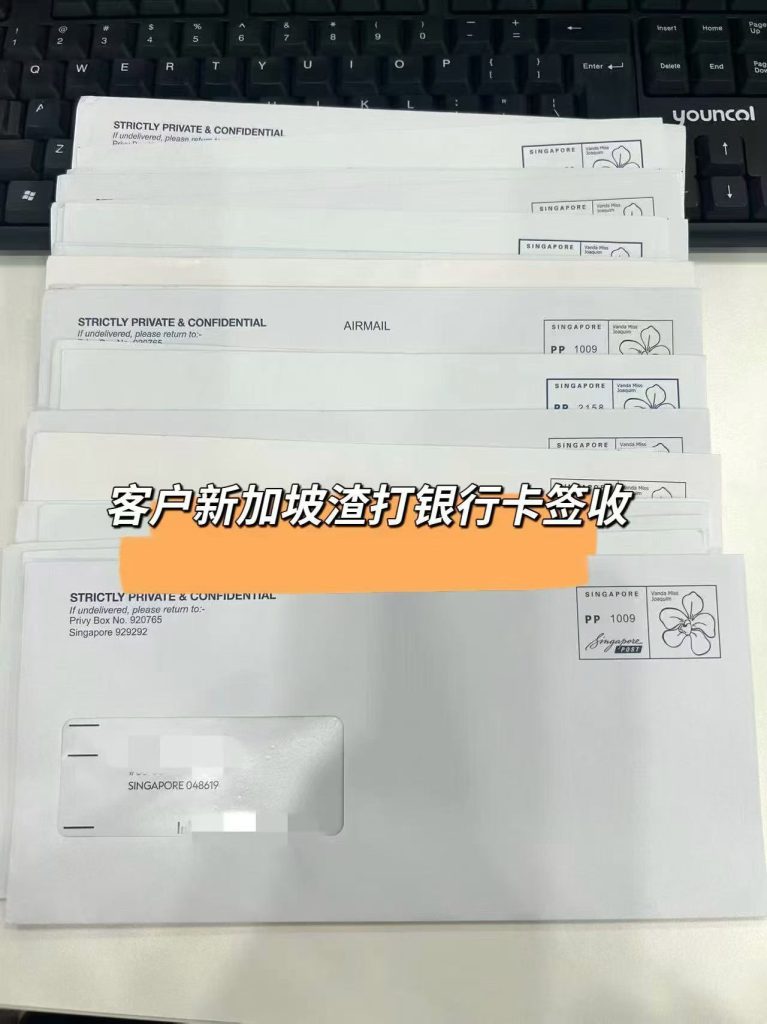 新加坡自雇EP就业准证及家属DP准证 (5) 新加坡自雇EP就业准证及家属DP准证 (5)