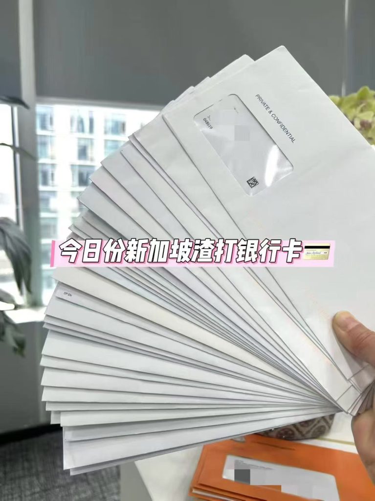 新加坡自雇EP就业准证及家属DP准证 (6) 新加坡自雇EP就业准证及家属DP准证 (6)