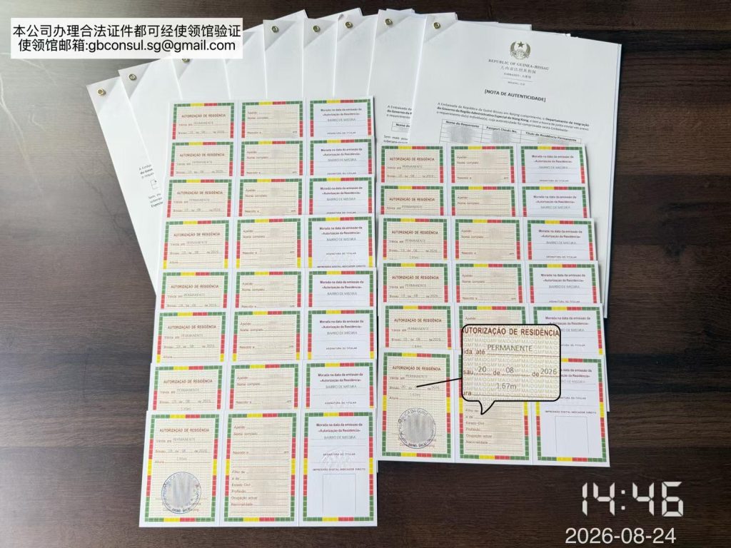 君拓移民成功案例：几内亚比绍永居高效跳板2026香港投资移民 (1)
