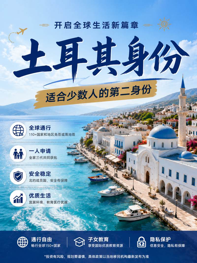 土耳其移民海报图 副本